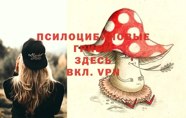 МДПВ Аркадак